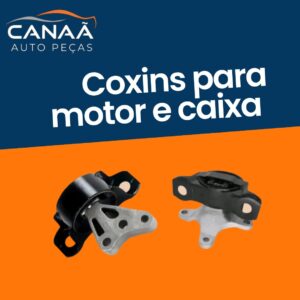 Coxins para Motor e Caixa