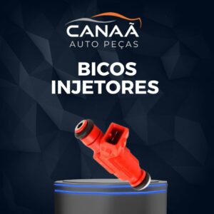 Bicos Injetores